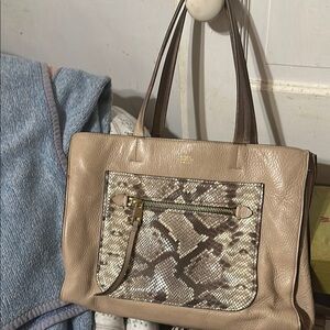 Tan and Cream Tote Bag with Exotic Accent